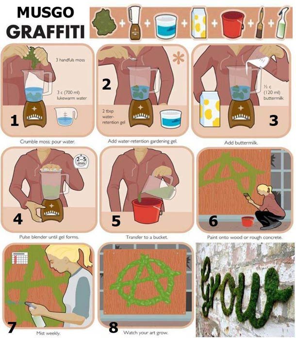 natural-green-moss-graffiti