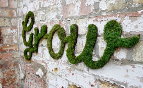 natural-green-moss-graffiti