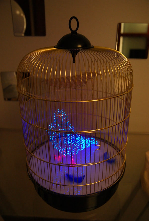 no-shadow-light-art no-shadow-light-art