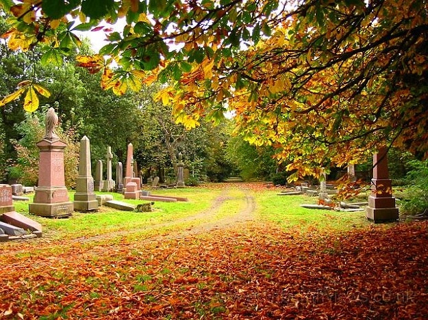 peaceful final resting place