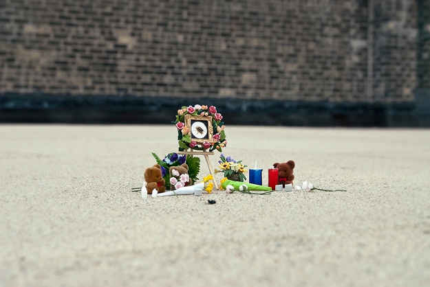 Bug-Memorial-Funeral-Project