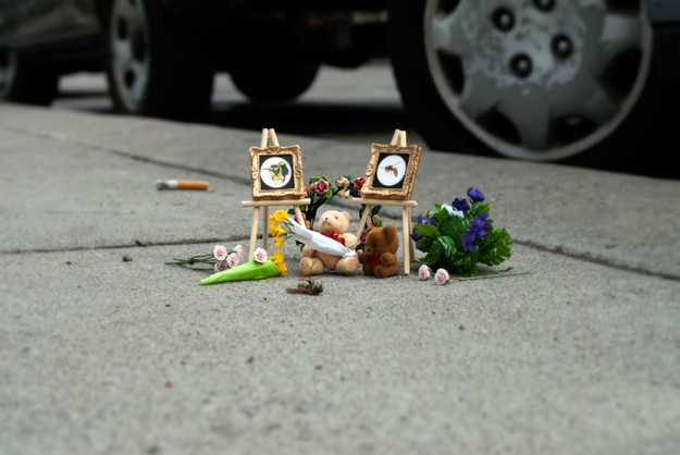 Bug-Memorial-Funeral-Project