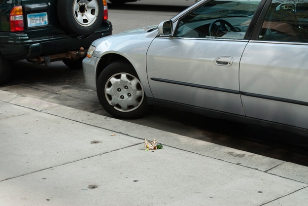 Bug-Memorial-Funeral-Project