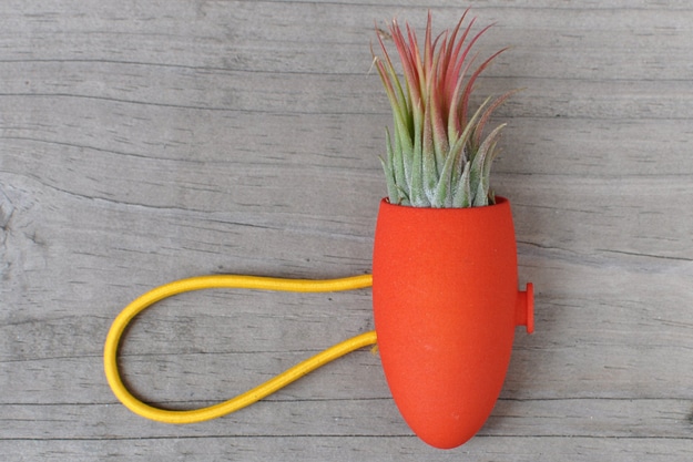 Portable-Plant-Bike-Planter