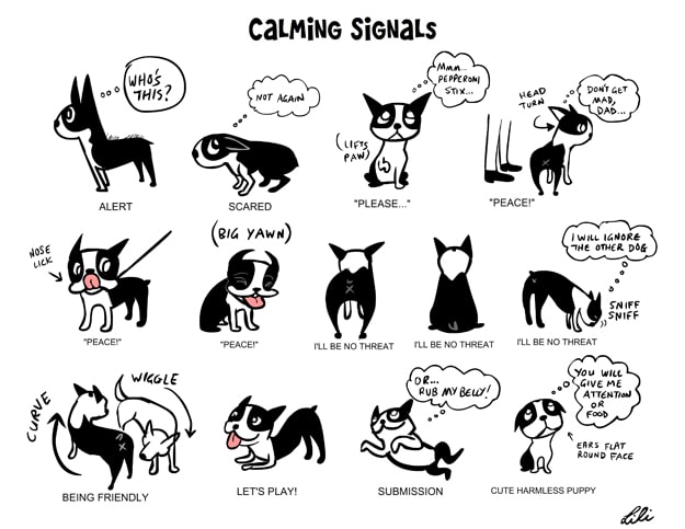 Understand-Dog-Language-Chart