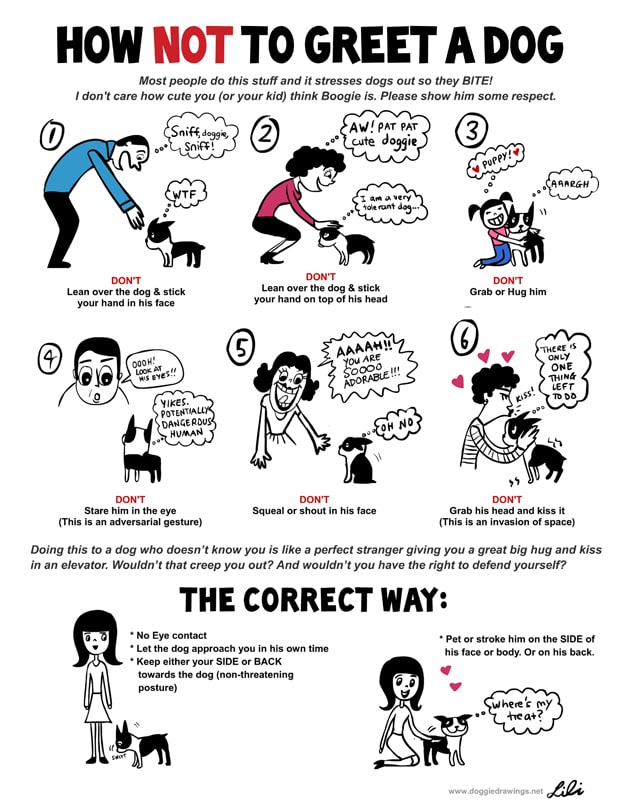 Understand-Dog-Language-Chart