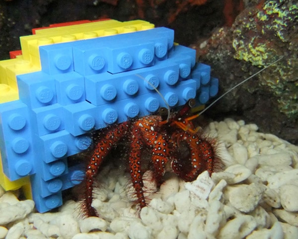 hermit-crab-lego-house hermit-crab-lego-house