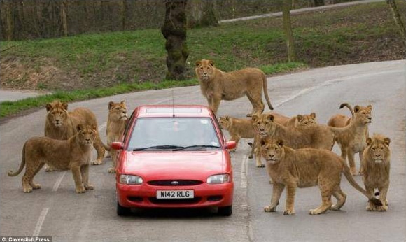 nature-photos-never-seen