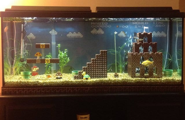 super-mario-aquarium-build super-mario-aquarium-build
