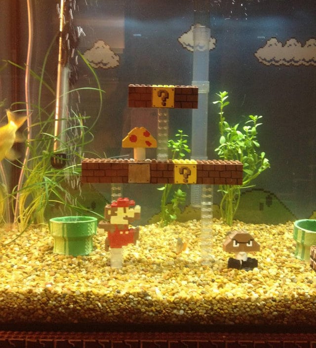 super-mario-aquarium-build super-mario-aquarium-build