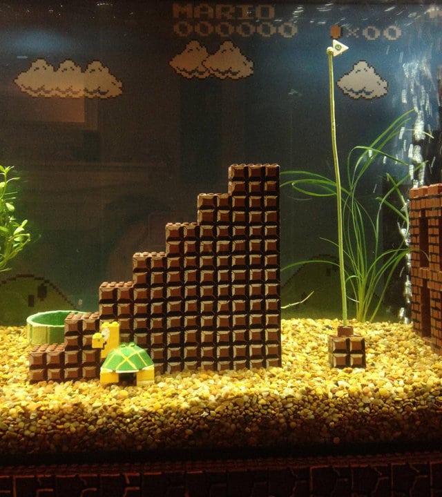 super-mario-aquarium-build super-mario-aquarium-build