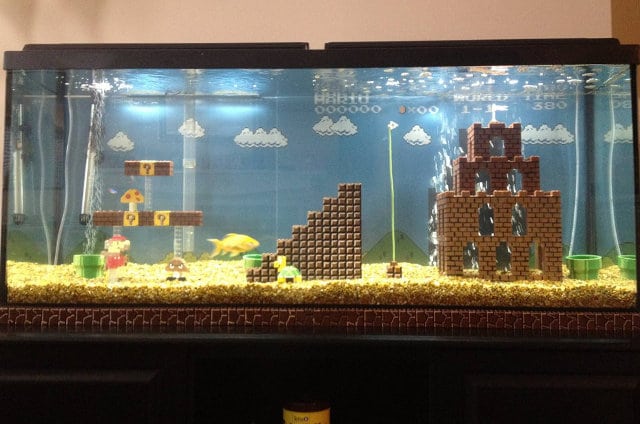 super-mario-aquarium-build super-mario-aquarium-build
