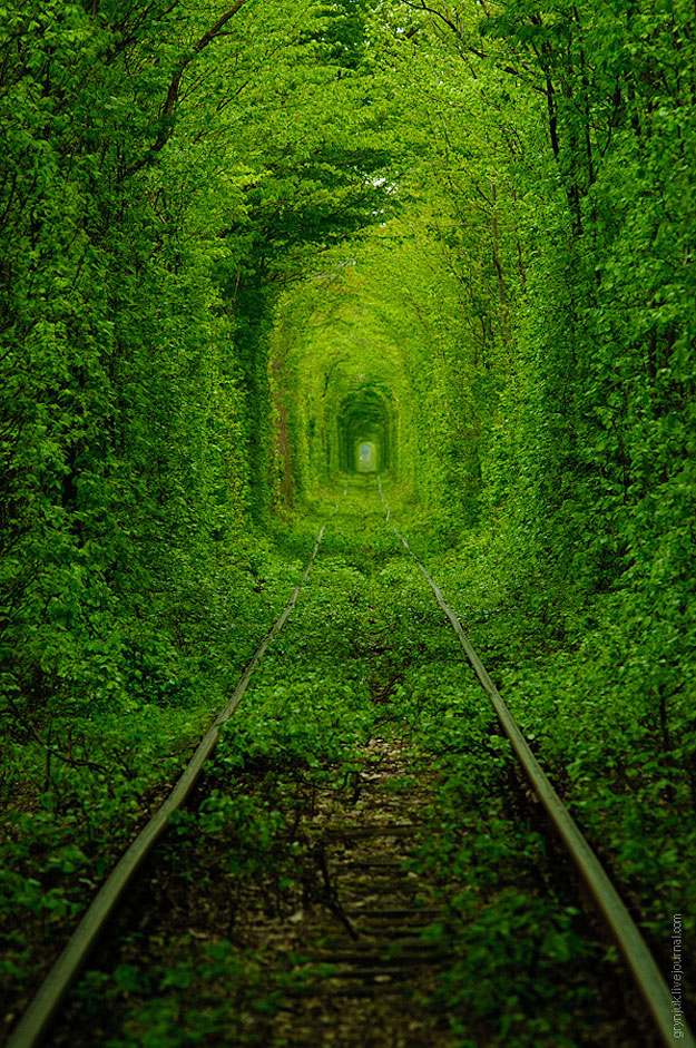 Leafy-Natural-Tunnel-In-Ukraine