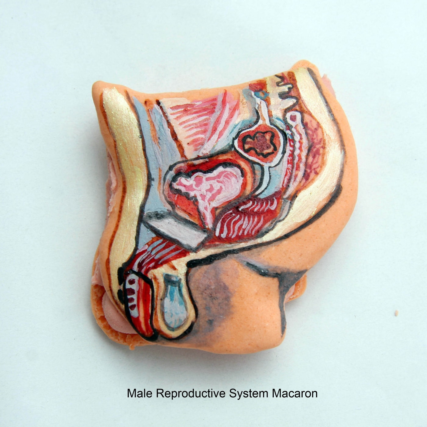Body-Organ-Macaroon-Cookies Body-Organ-Anatomically-Correct-Cookies