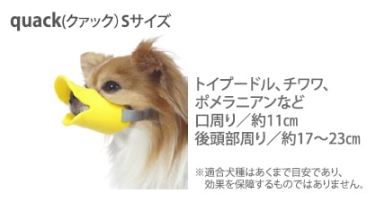 dog-muzzle-duck-concept