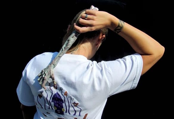 back-scratcher-zombie-arm back-scratcher-zombie-arm