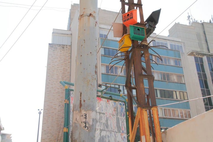 birds-in-urban-places beautiful-birdhouses-urban-places
