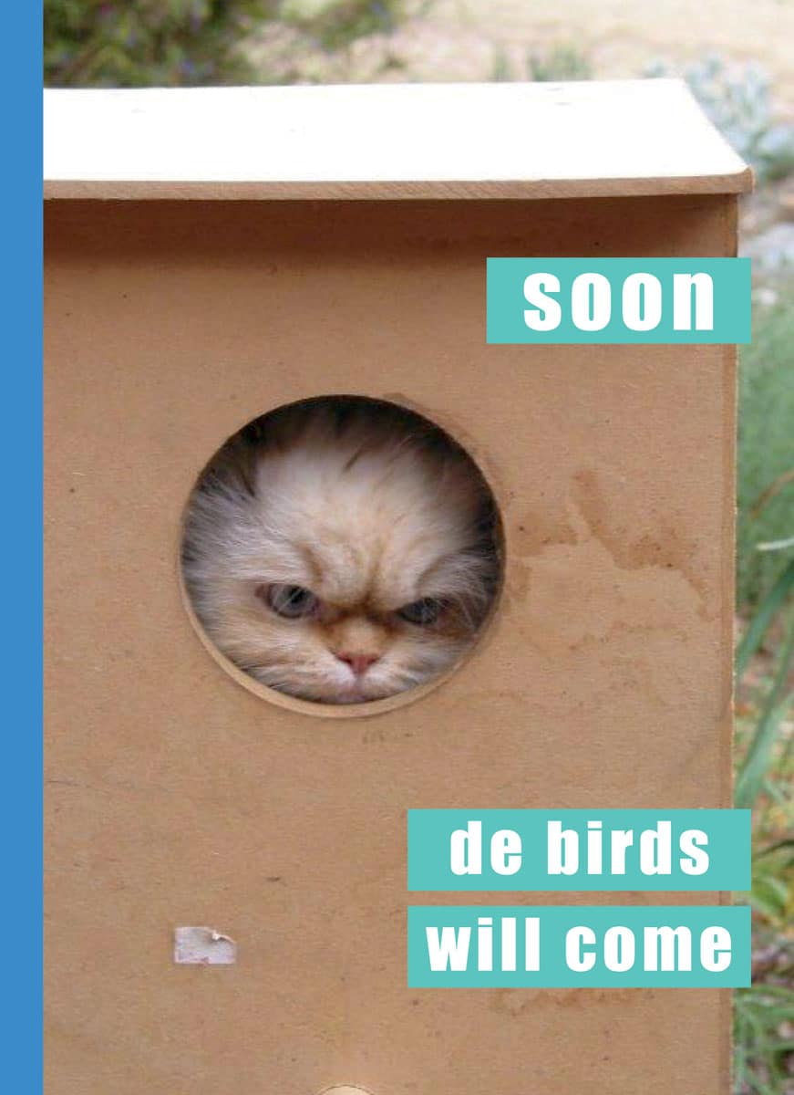 birds-in-urban-places beautiful-birdhouses-urban-places