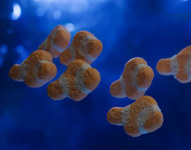 art-with-cereal-designs breakfast-cereal-art-designs