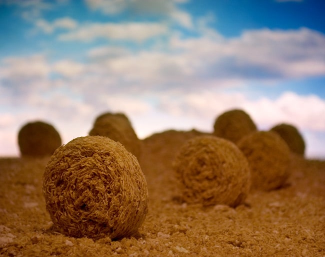 art-with-cereal-designs breakfast-cereal-art-designs