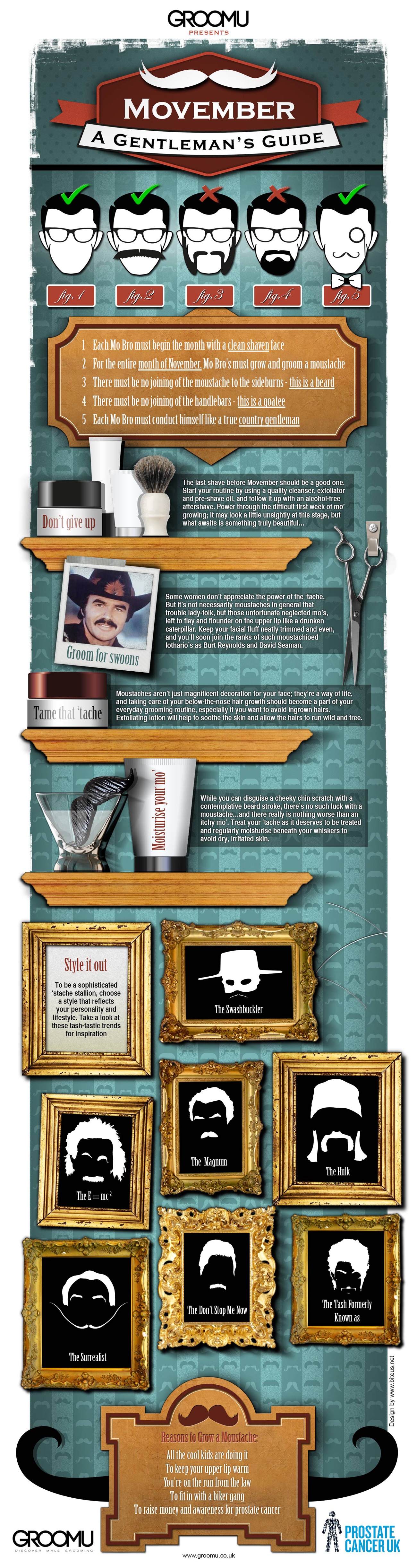 movember-moustache-gentlemans-guide-infographic