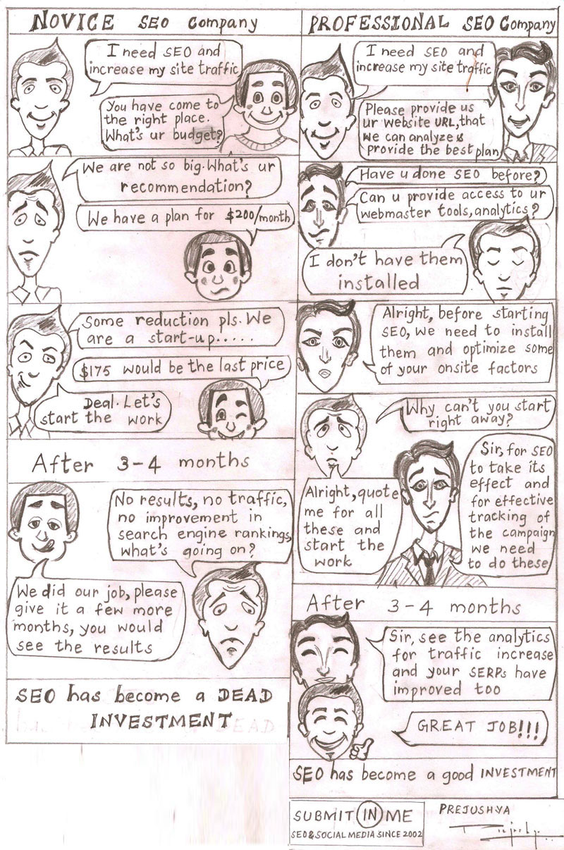 seo-company-novice-professional-infographic seo-company-novice-professional-infographic