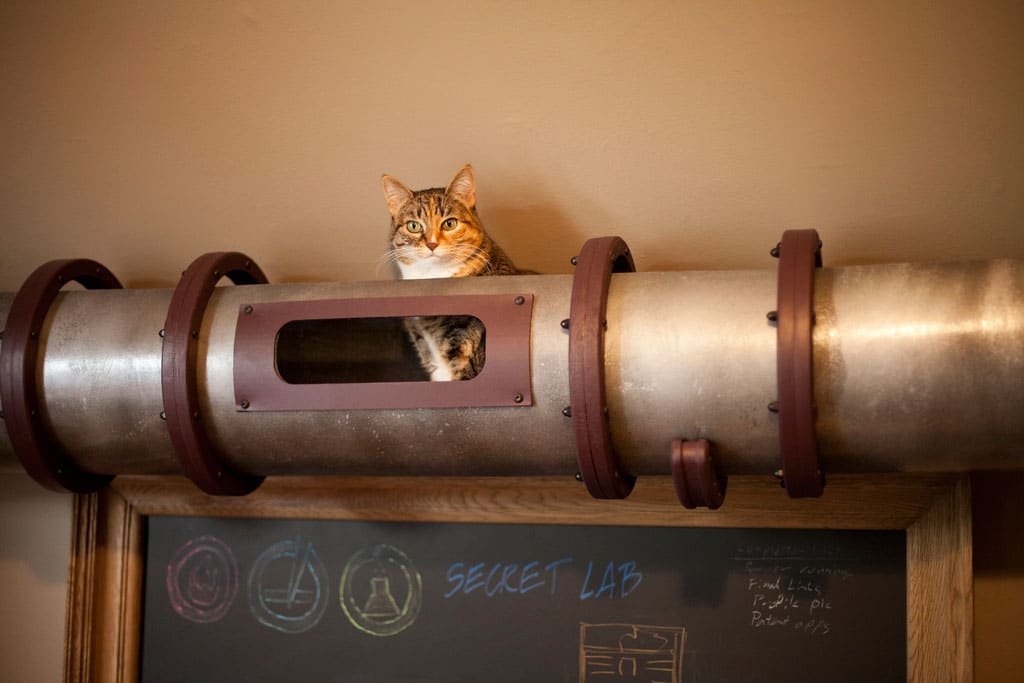cat-tunnel-home-office cat-transportation-system-home-office