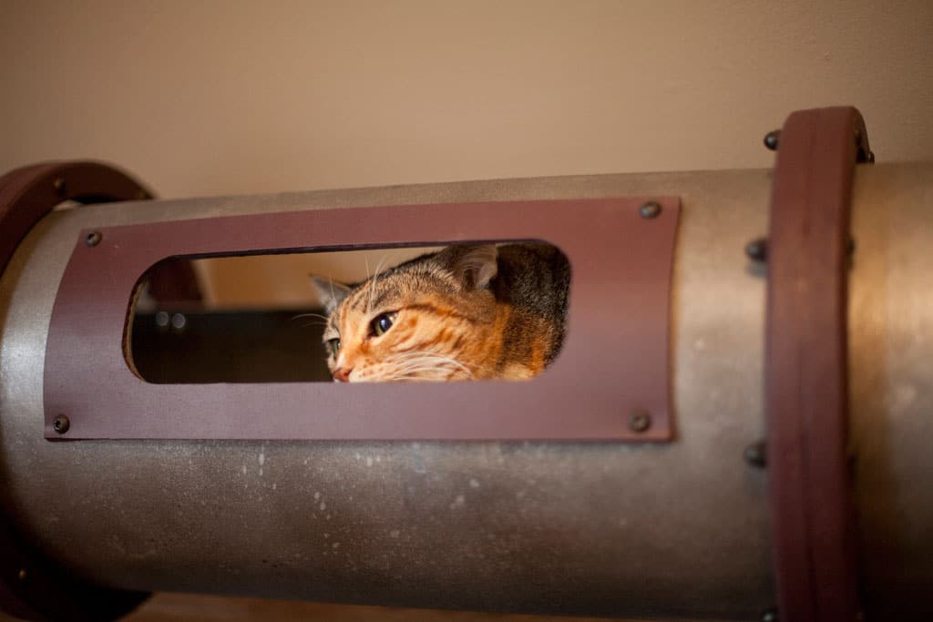 cat-tunnel-home-office cat-transportation-system-home-office