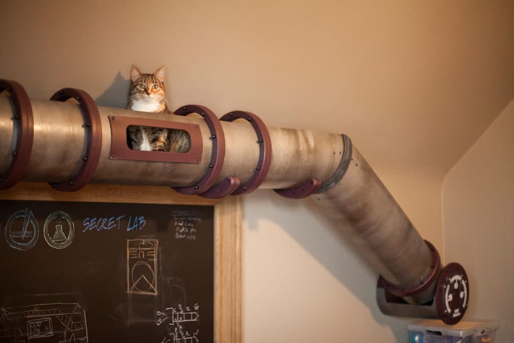 cat-tunnel-home-office cat-transportation-system-home-office