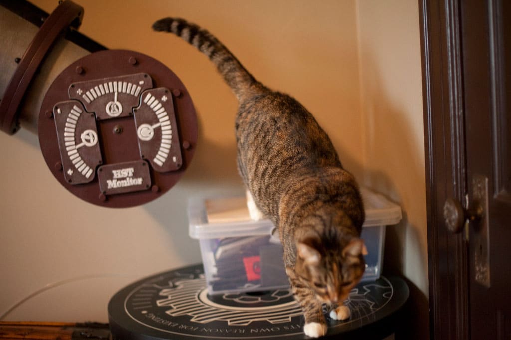 cat-tunnel-home-office cat-transportation-system-home-office