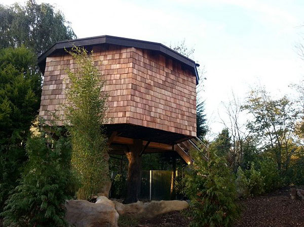 luxury-treehouse-design-villa