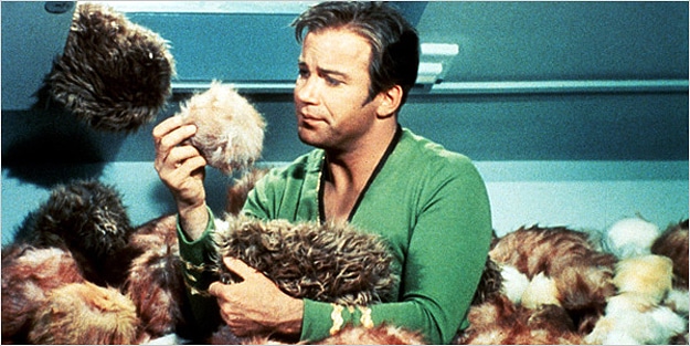 shatner-some-nights-poetry william-shatner-some-nights-poetry