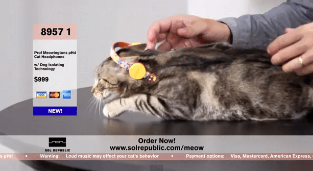 cat-headphones-sol-republic cat-headphones-sol-republic