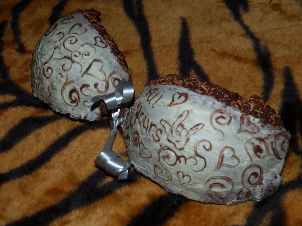 diy-cookie-bra-mold diy-edible-cookie-bra-mold