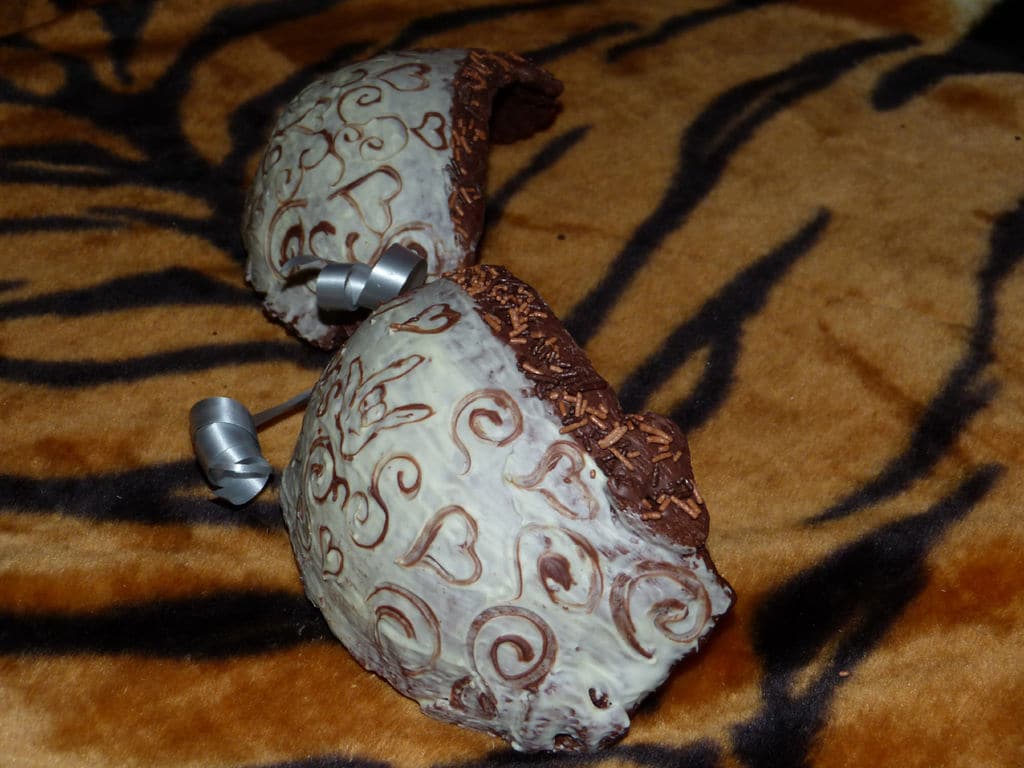 diy-cookie-bra-mold diy-edible-cookie-bra-mold