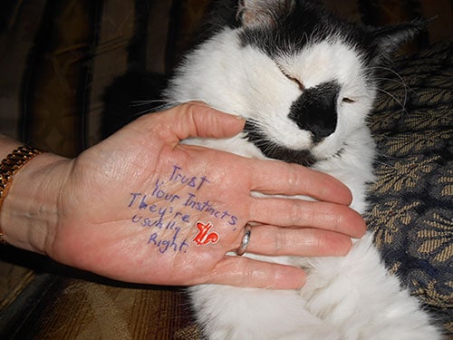 bloggers-share-advice-hands authors-give-writing-advice