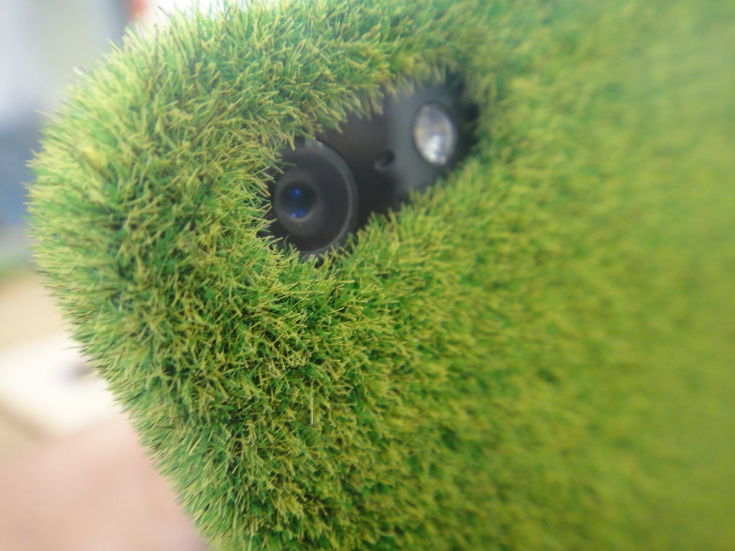 unique-iphone-case-lawn unique-iphone-case-lawn