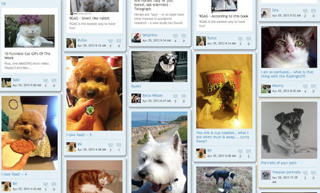 facebook-for-pets-social-network
