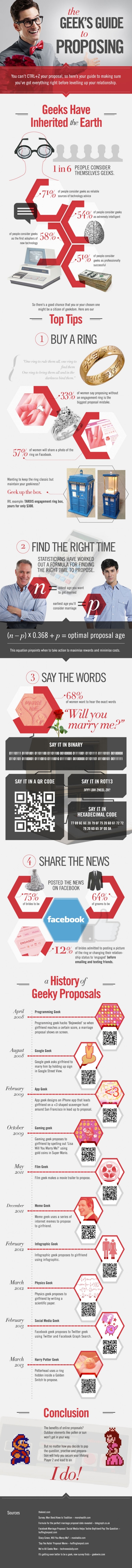 ultimate-geek-proposal-guide-infographic ultimate-geek-proposal-guide-infographic