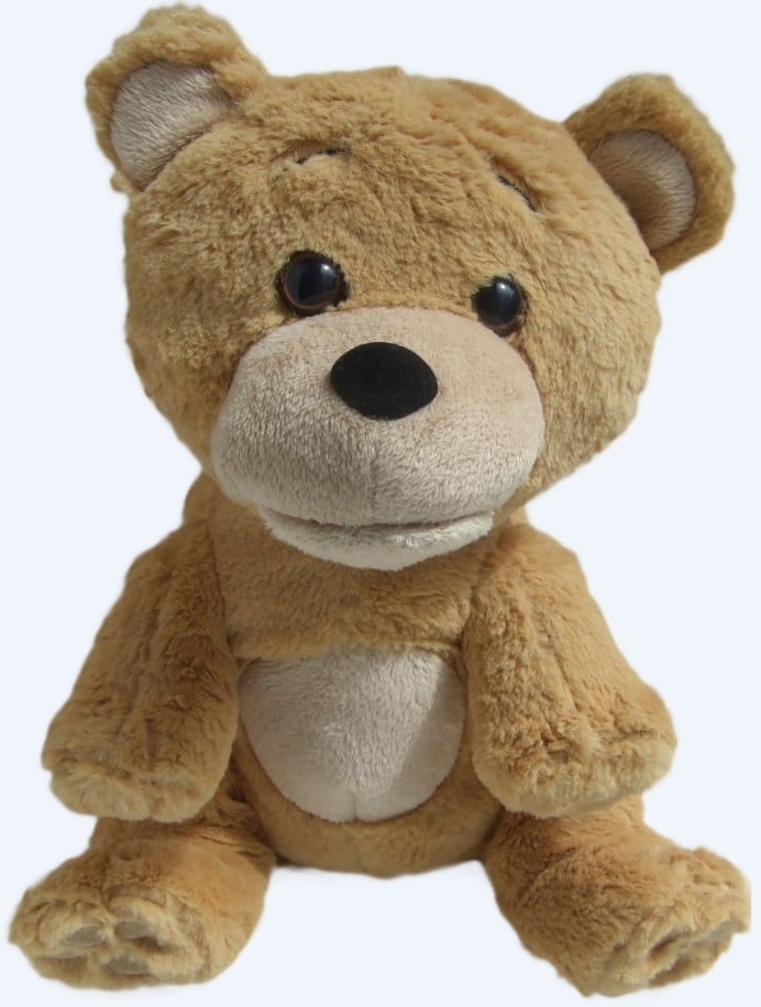 talking-supertoyteddy-bear talking-supertoyteddy-bear