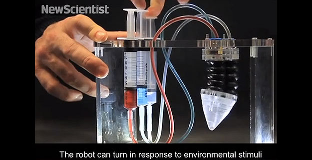 robot-real-plants-learn-grow