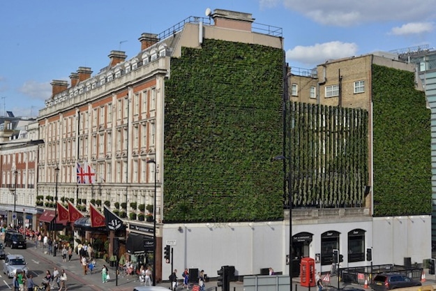 london-living-plant-wall london-living-wall-plants
