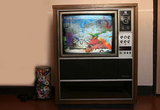 retro-tv-fish-tank retro-television-set-fish-tank