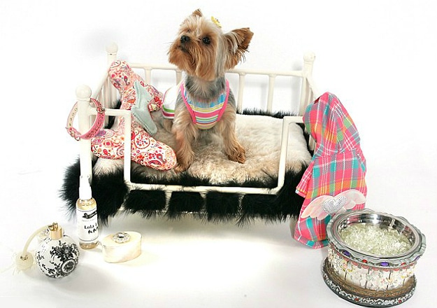 Pampered Pets Luxury Gifts