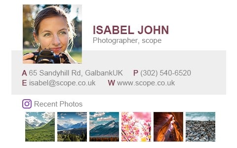 WiseStamp Review Preview Image 3