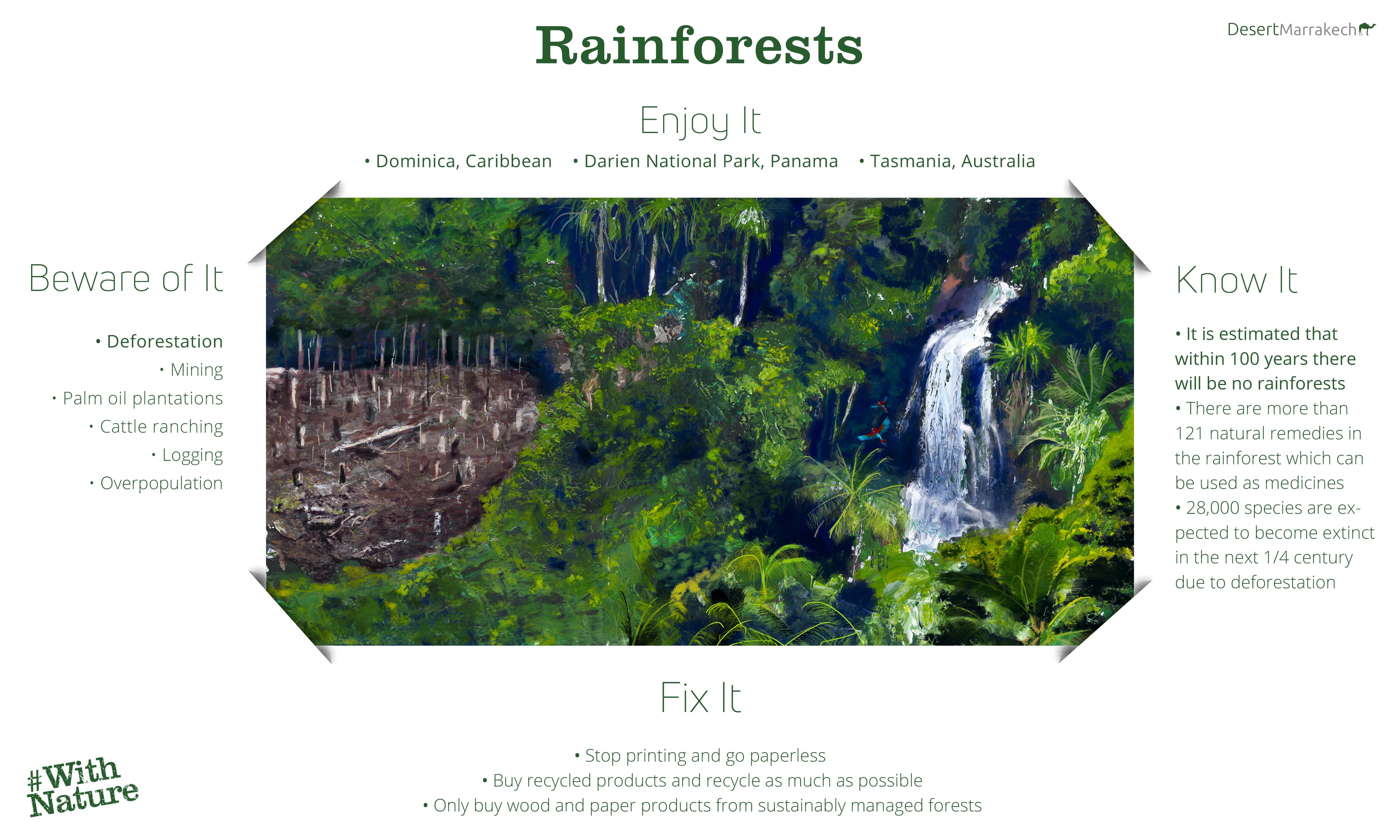 World Environment Day Rainforests Infographic