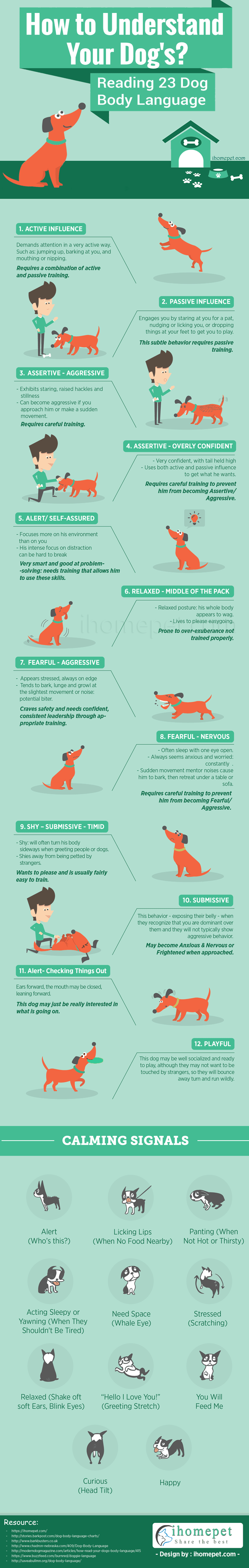 Understand Dog Body Language Infographic