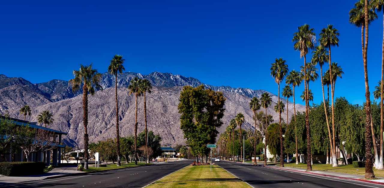 California Road Trip Palm Springs Article Image
