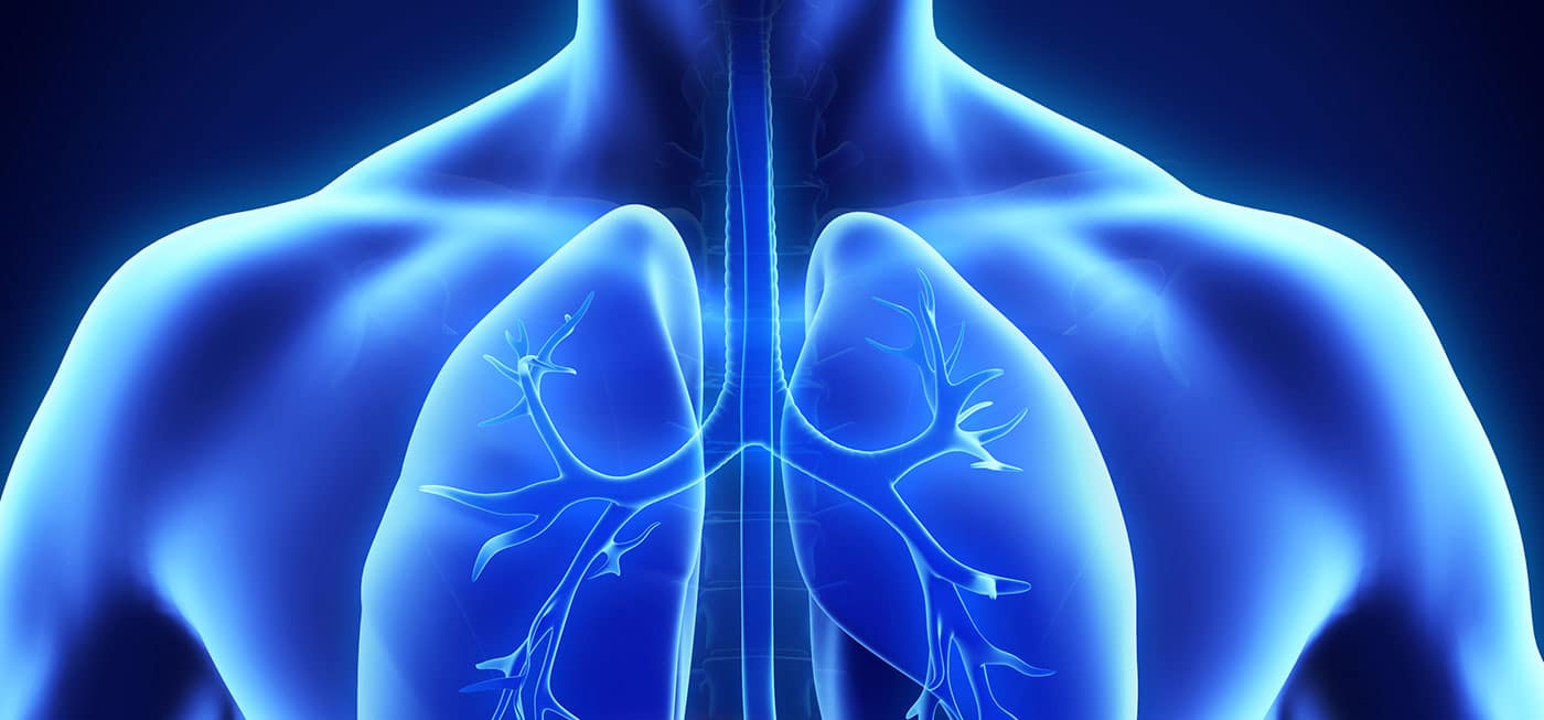 Clean Air Tips Article Image