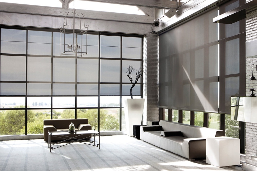 Window Roller Shades Header Image